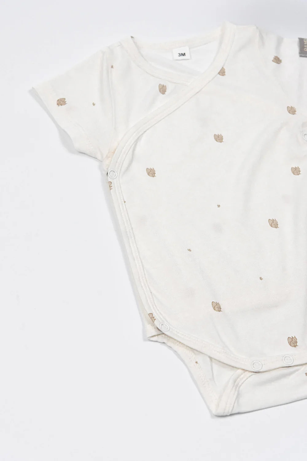 Pack Body Short Sleeves 2pc SQUIRREL MIX- one close up