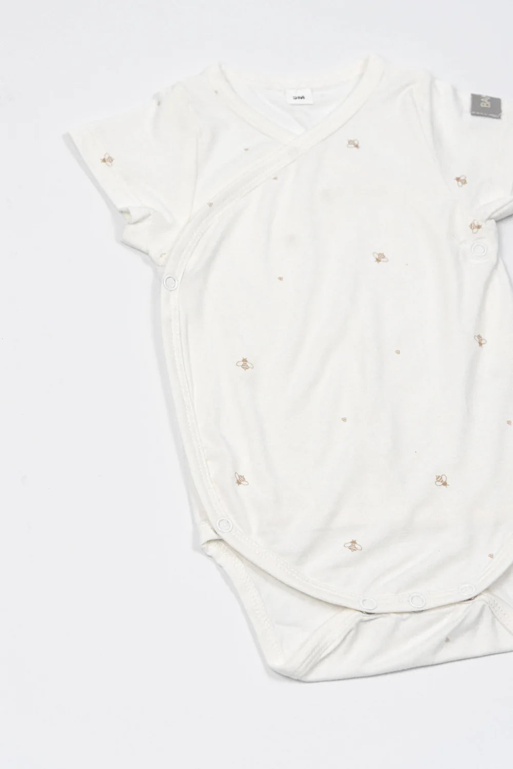 Pack Body Short Sleeves 2pc SQUIRREL MIX- two close up