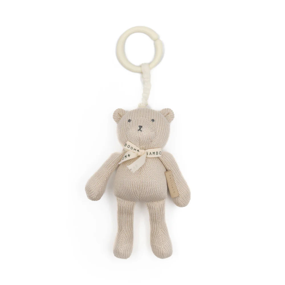 Pull & Shake Toy Bear Sand