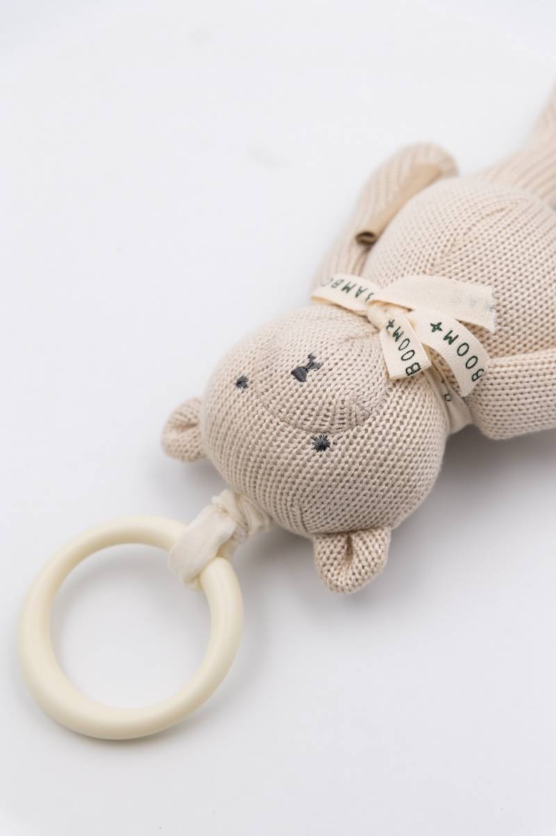 Pull & Shake Toy Bear Sand- close up