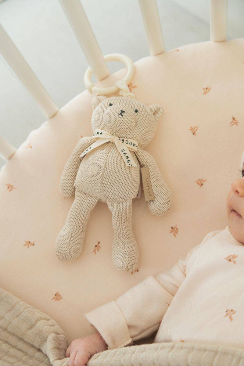 Pull & Shake Toy Bear Sand- in bed