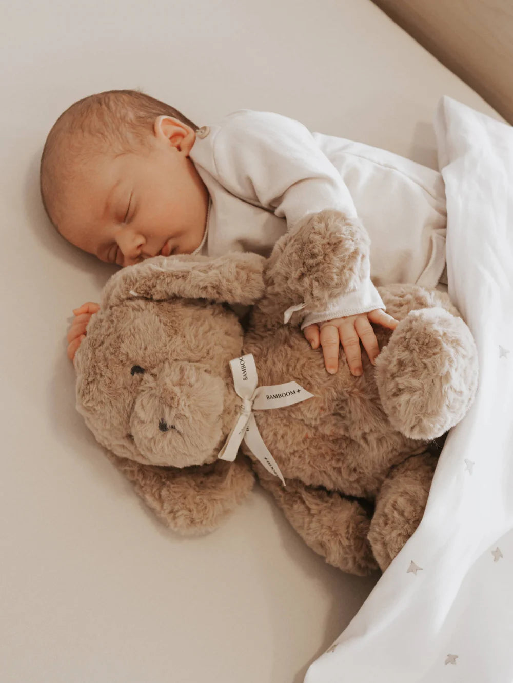 Calming Soft Toy BROWN- with baby