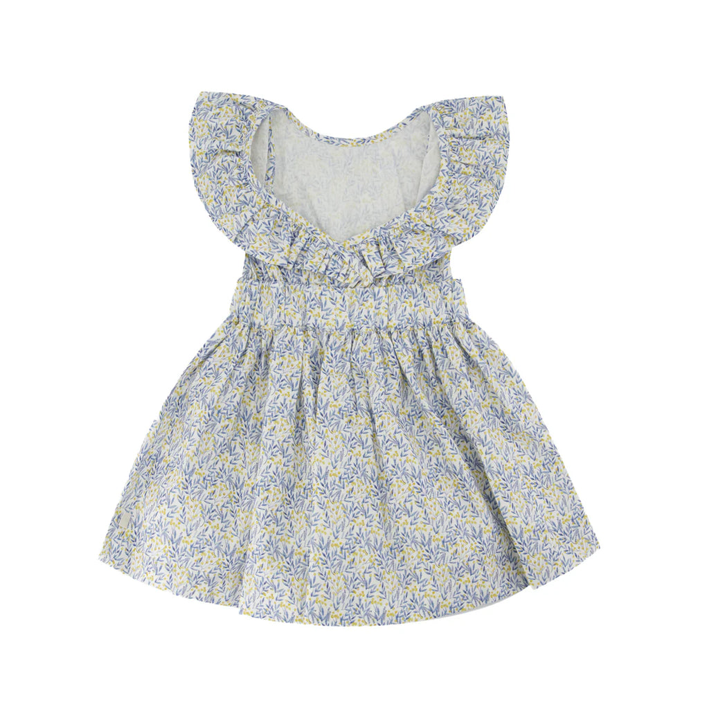 Blue Camelia Dress- back